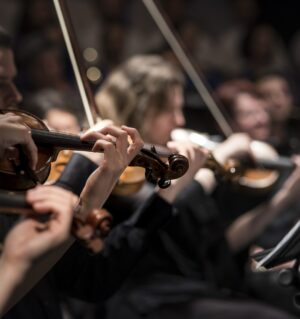 String quartet by Larisa Brita